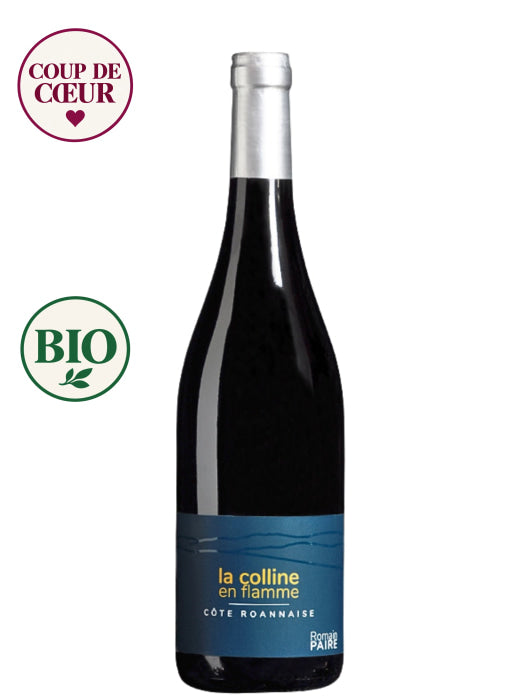 Domaine des Pothiers - Romain Paire - Côte Roannaise - La colline en flamme rouge