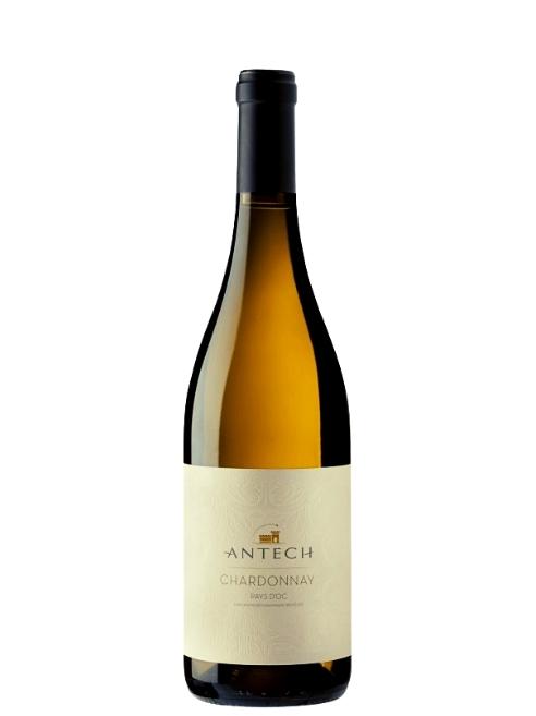 Maison Antech - IGP Pays d’Oc - Chardonnay 2024