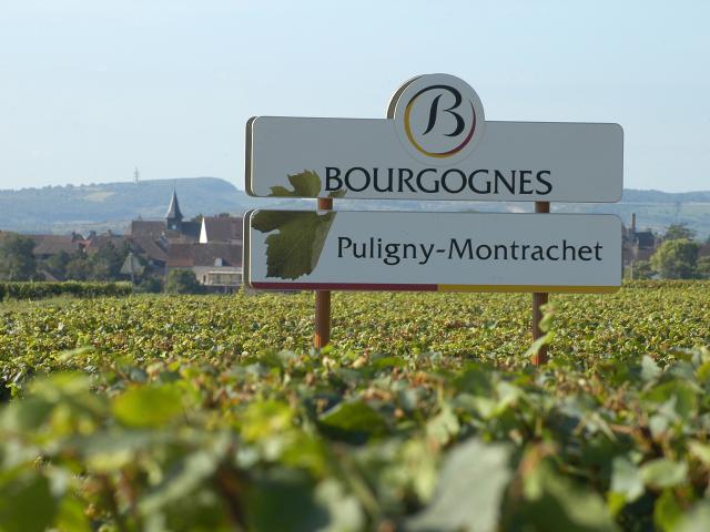 AOC-puligny-montrachet