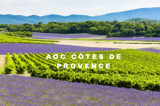 aoc cotes de provence