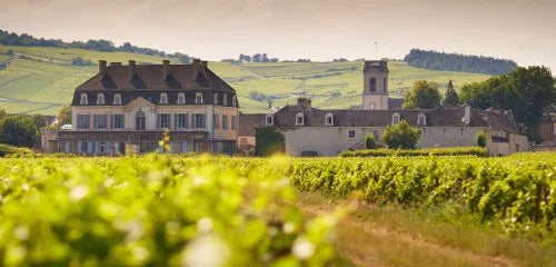 Nuits-Saint-Georges
