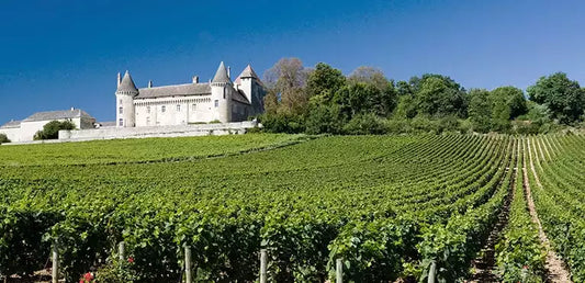 Rully: l’élégance discrète de la Côte Chalonnaise