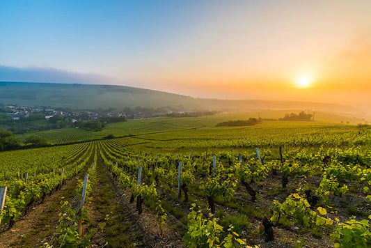aoc-sancerre-loire-sauvignon-pinot-noir