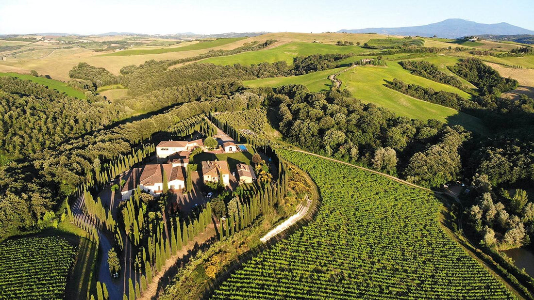 brunello di montalcino