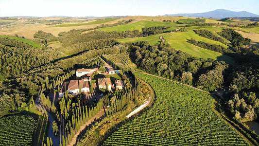 brunello di montalcino