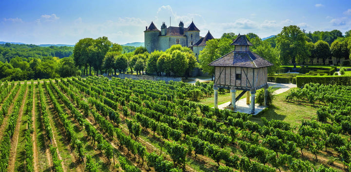 cahors vin