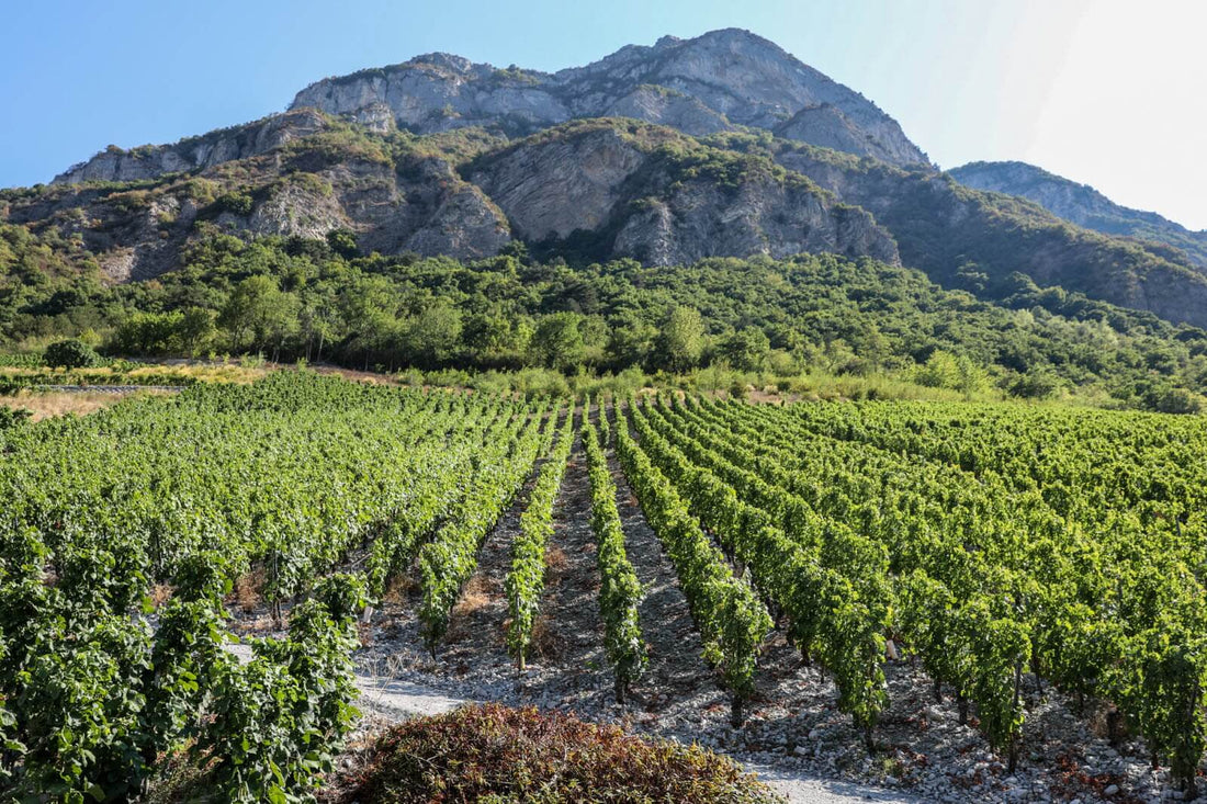 chignin bergeron savoie