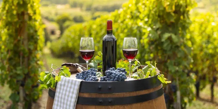 choisir-vin-bordeaux-cave-eclairee-caviste-en-ligne