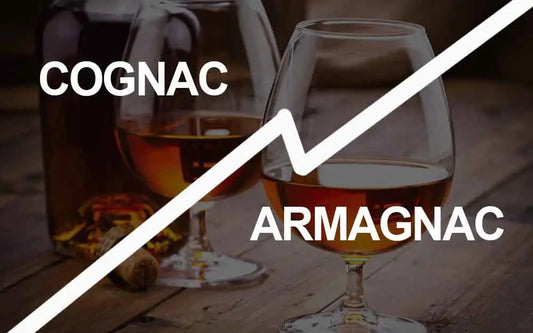 article-blog-la-cave-eclairee-caviste-en-ligne-cognac-armagnac-histoire-différences