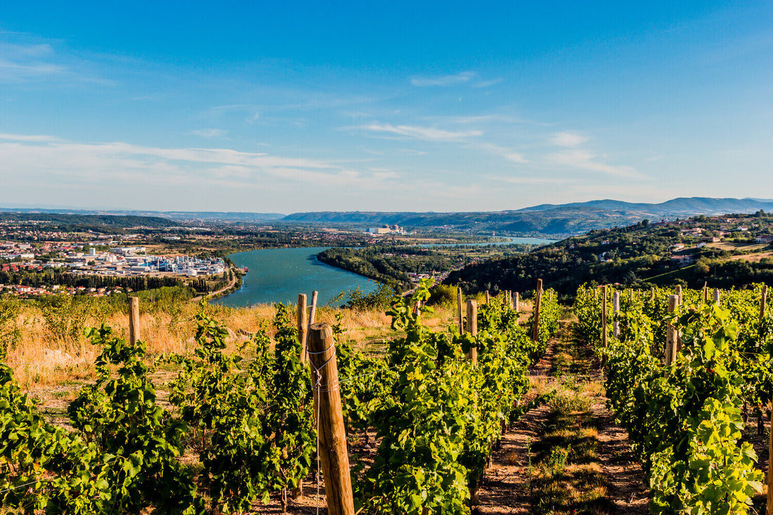 AOC Côtes-du-Rhône