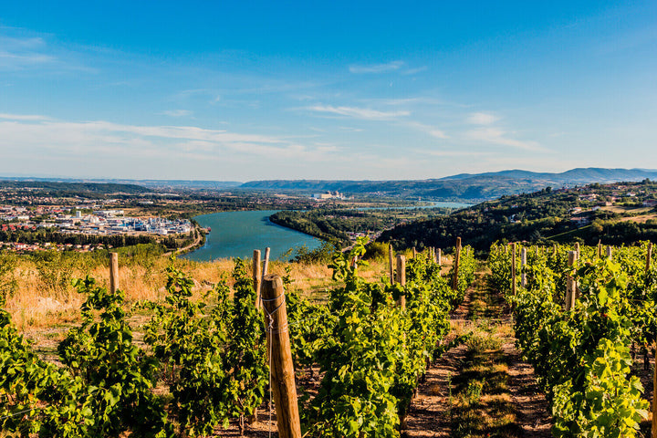 AOC Côtes-du-Rhône