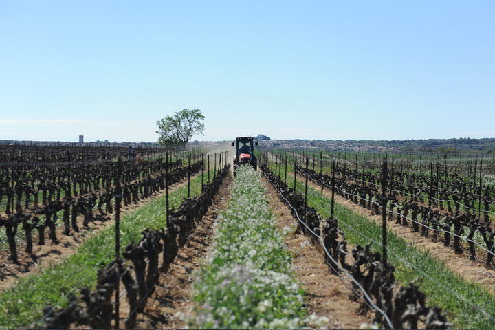 domaine les creisses