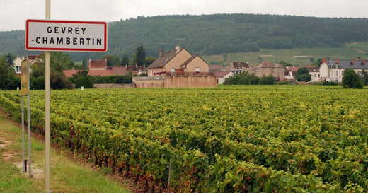 Gevrey-Chambertin