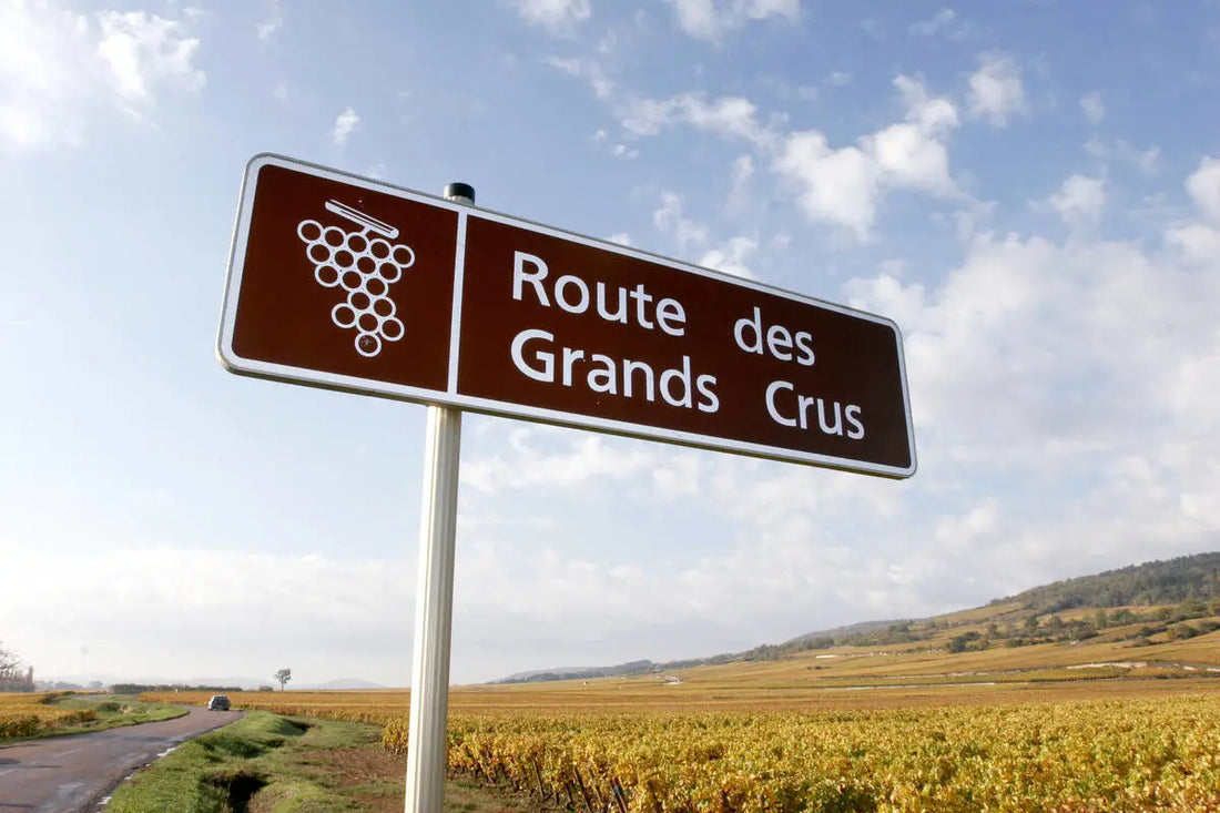 article-blog-la-cave-eclairee-caviste-en-ligne-classements-viticoles-grands-crus-premiers-crus-vins-champagne-loire-provence-alsace
