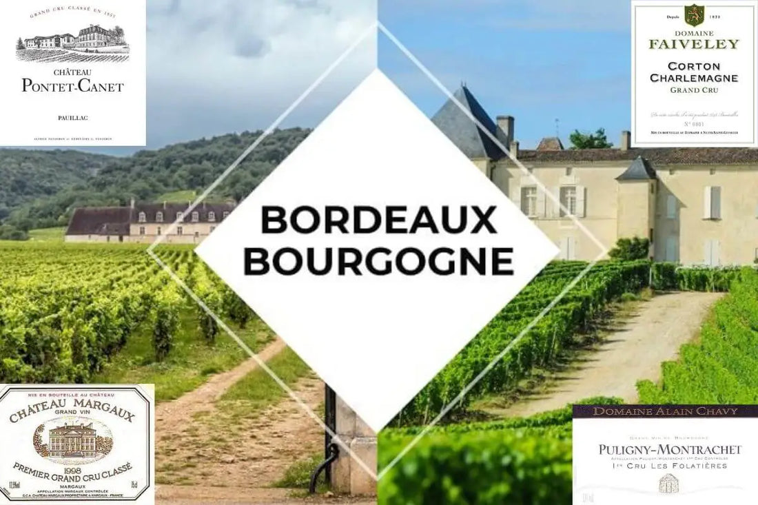 article-blog-la-cave-eclairee-caviste-en-ligne-classements-viticoles-grands-crus-premiers-crus-vins-bordeaux-bourgogne