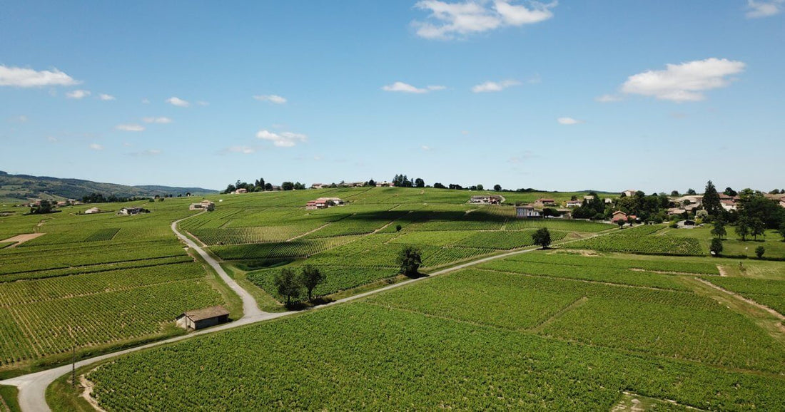 saint-amour-beaujolais