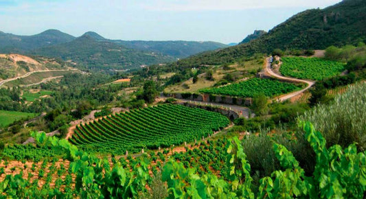 terrasses larzac