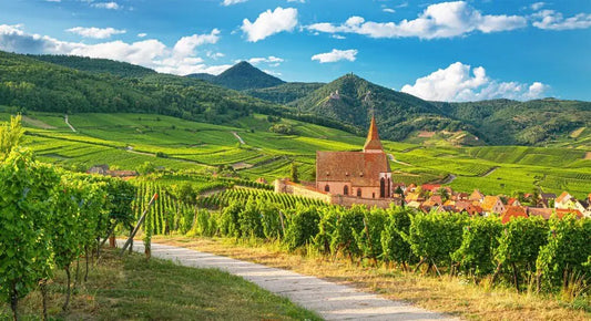 vignoble-alsace