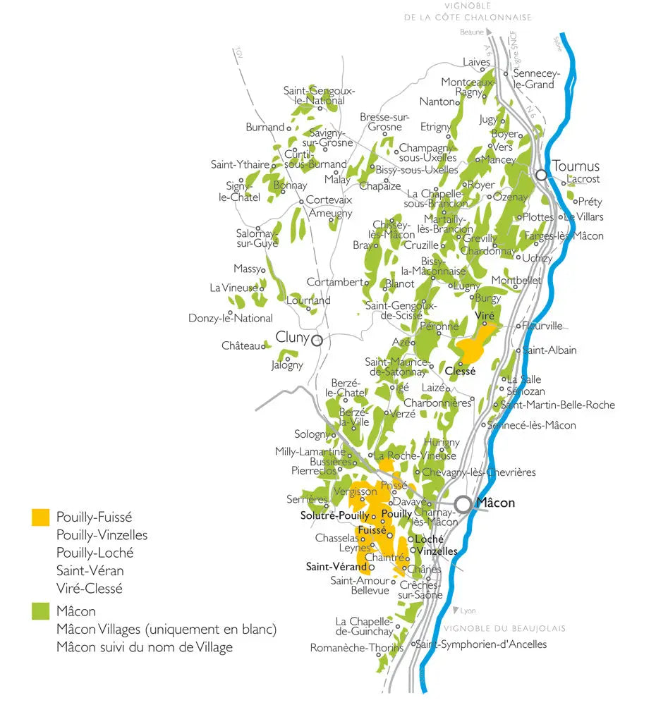 Tout savoir sur l’AOC Mâcon et ses vins