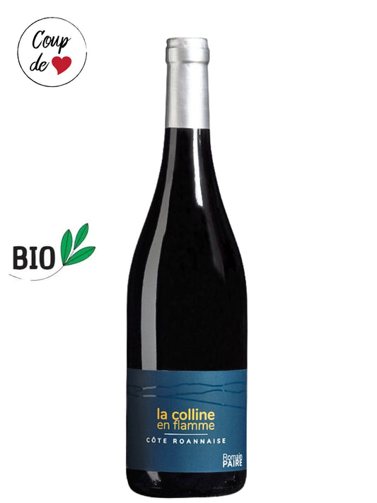 Domaine des Pothiers - Romain Paire - Côte Roannaise - La colline en flamme rouge