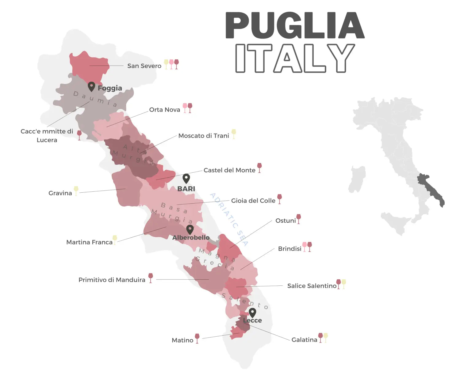 Tout savoir sur le cépage Primitivo