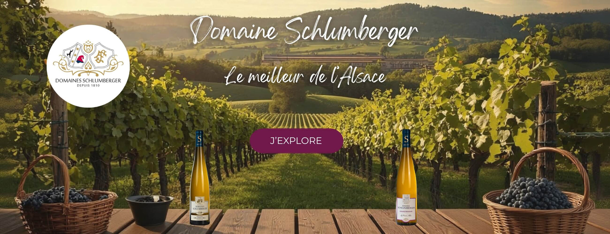 domaine Schlumberger