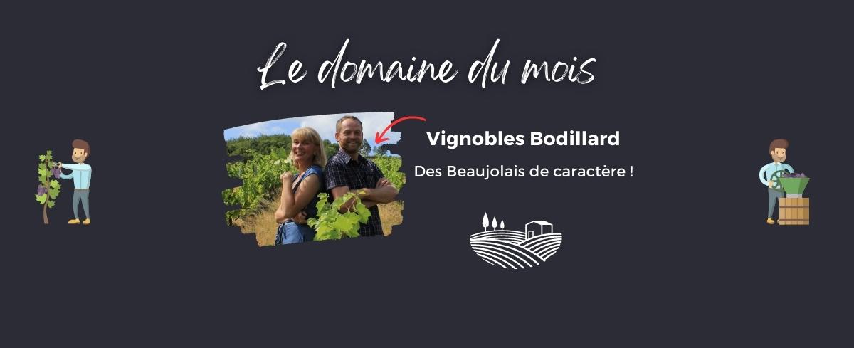 achat-vignoble-bodillard-beaujolais-morgon-gamay-domaine-du-mois-caviste-en-ligne