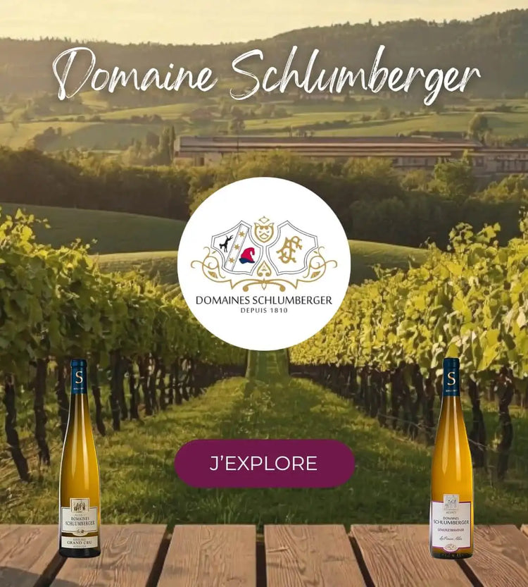domaines schlumberger alsace