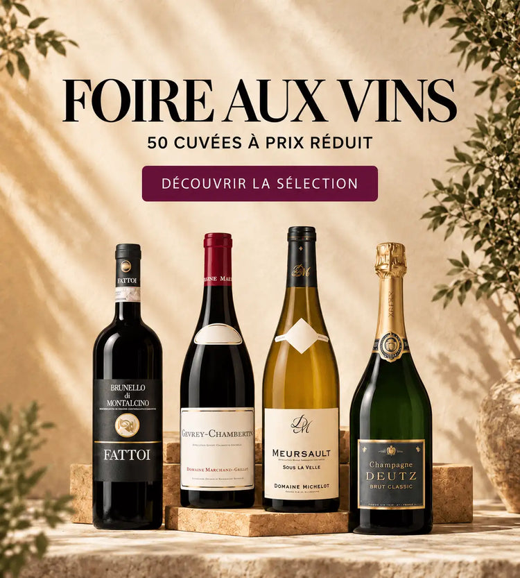 Foire aux vins La Cave éclairée MOBILE FR