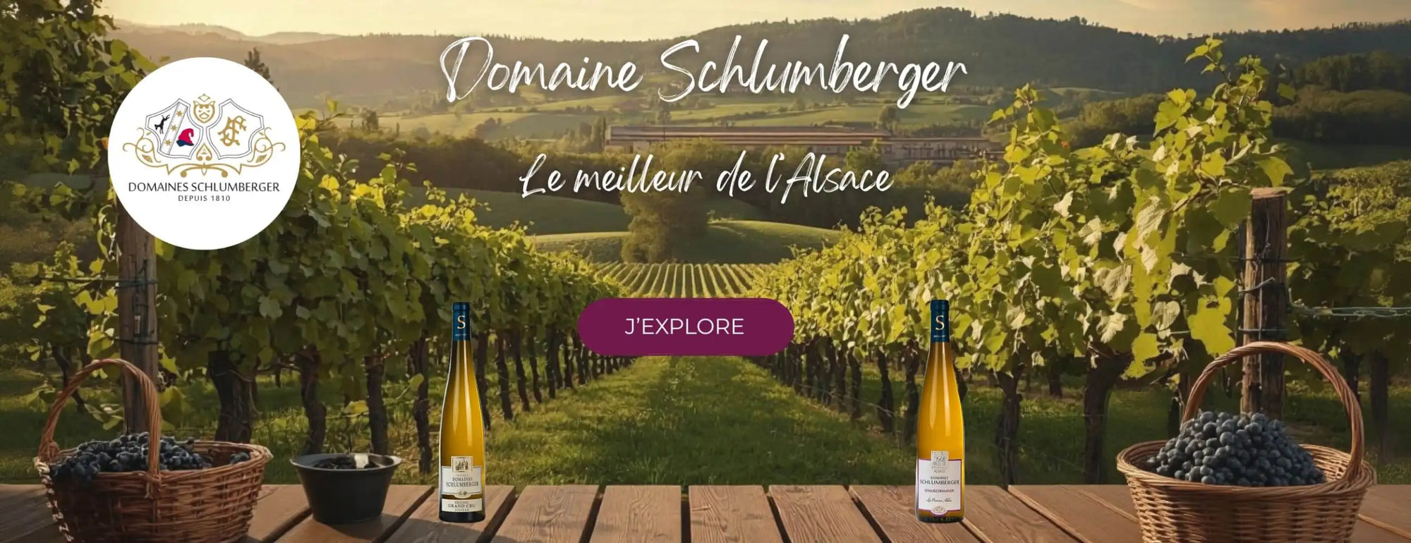 domaine Schlumberger