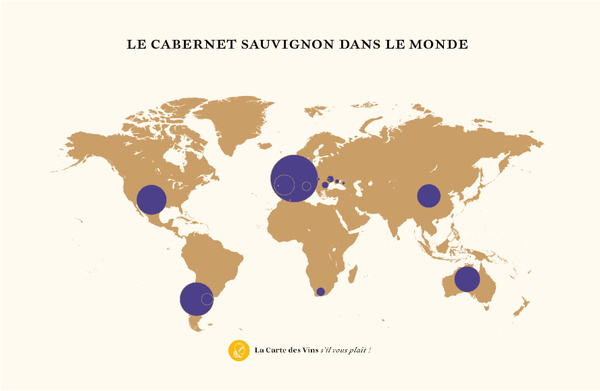 cabernet-sauvignon-cépage-dans-le-monde