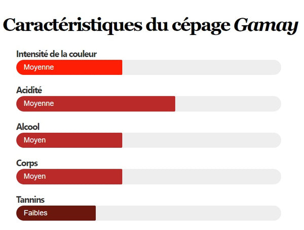 caractéristiques-cépage-gamay