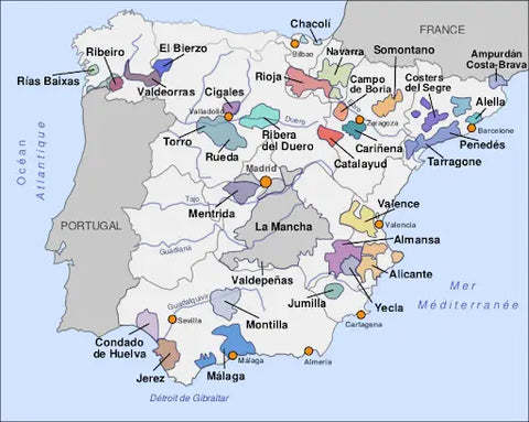 Tout savoir sur les vins de la Ribera del Duero