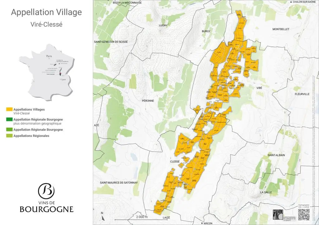 Guide complet sur l’AOC Viré-Clessé et ses vins