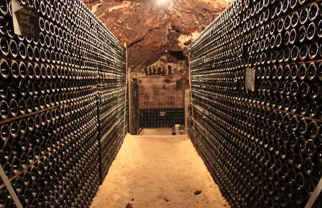 Domaine Lamé Delisle Boucard