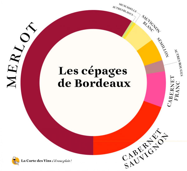 cépages-répartition-bordeaux