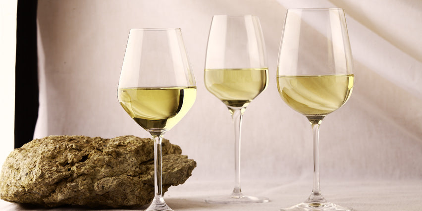 Quel vin choisir avec des noix de Saint-Jacques ?