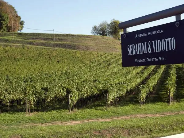 domaine serafini-vidotto