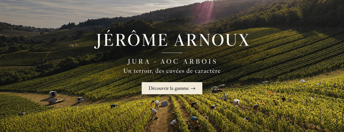 Jérôme Arnoux Arbois vin Jura desktop