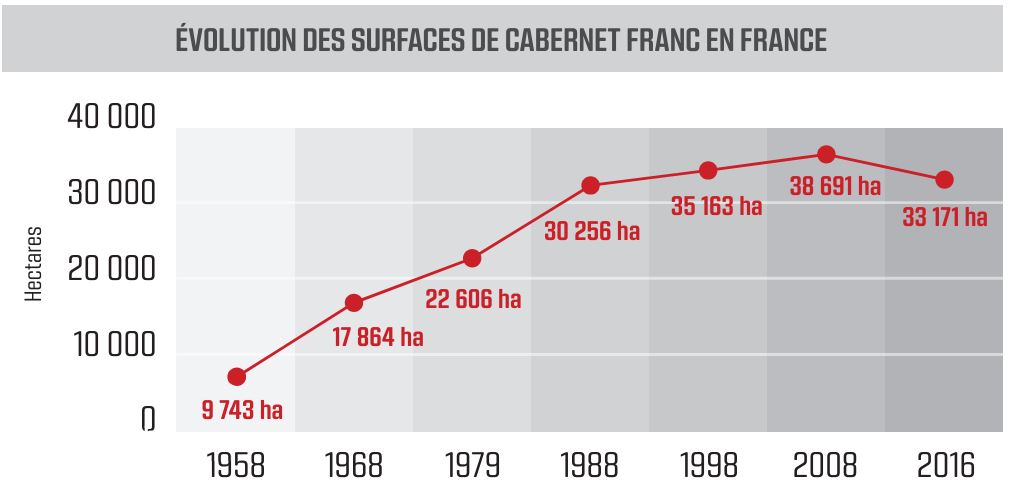 evolution-surface-cabernet-franc