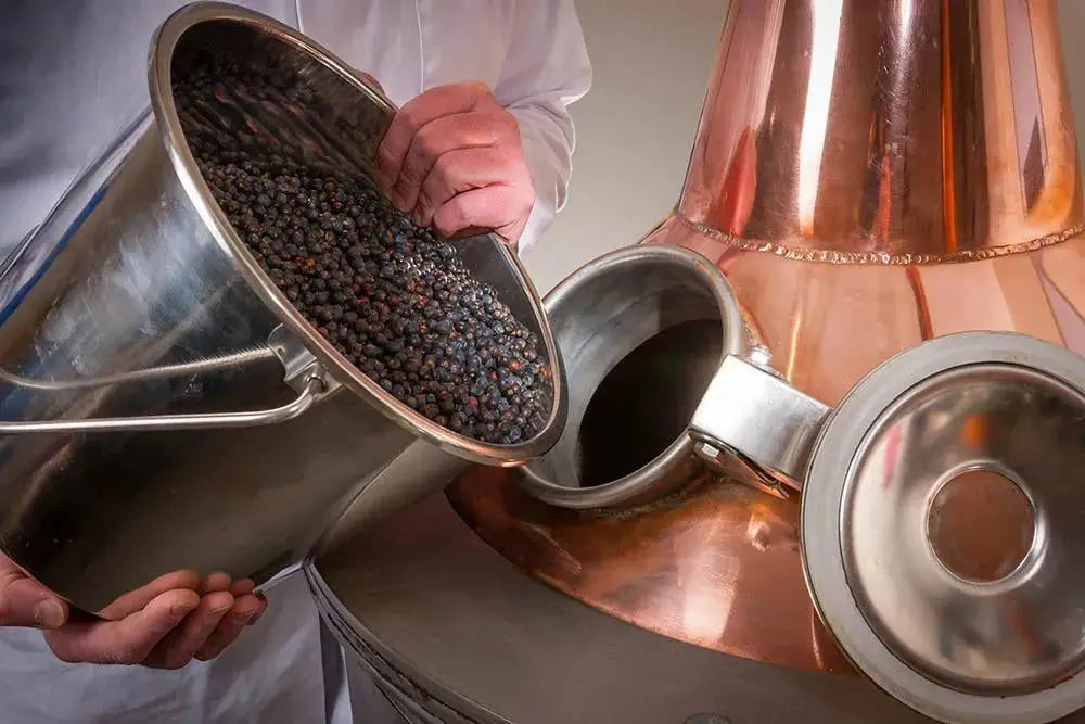 distillation gin