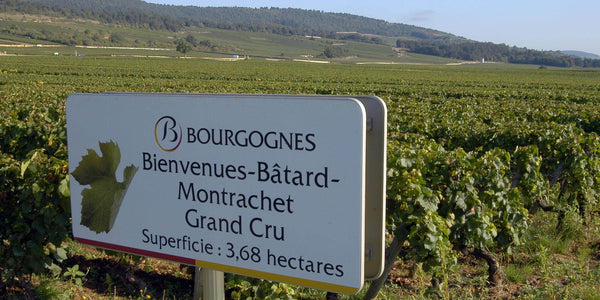 grand-cru-bienvenues-bâtard-montrachet