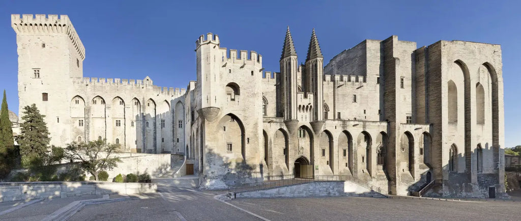 palais pape avignon