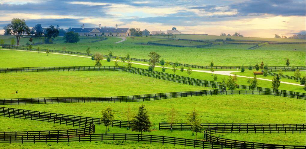 Bourbon: histoire et définition d’un whisky américain