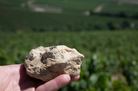 sol-chablis-bourgogne-calcaire-fossiles