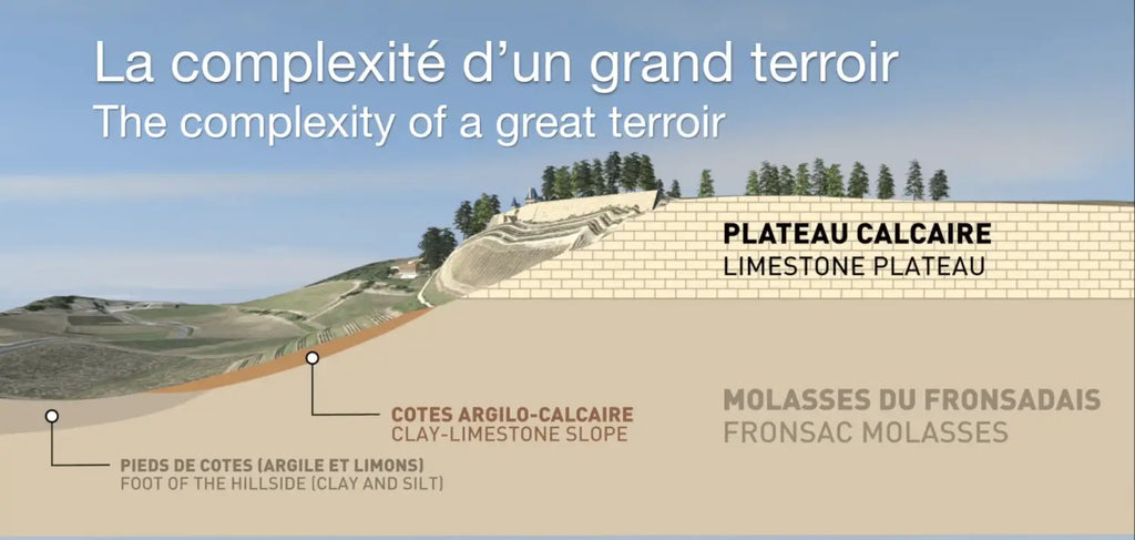 terroir saint-emilion