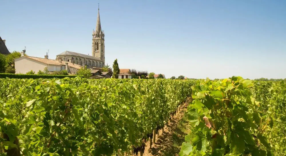 vignes-pomerol