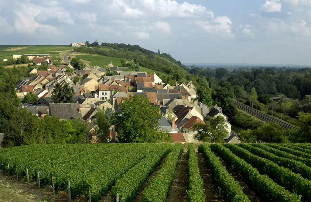 vignoble Pouilly fumé