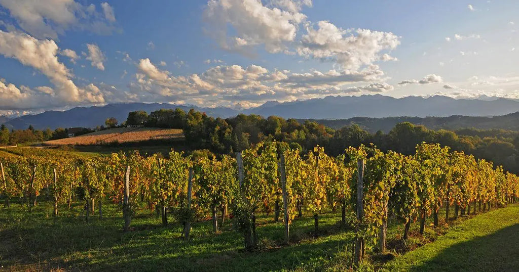 vignobles-jurançon