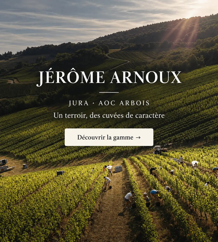 Jérôme Arnoux Arbois vin Jura mobile
